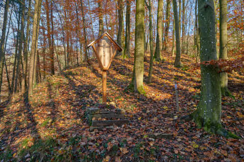 Gemeinde Julbach Landkreis Rottal-Inn Schlossberg Herbst (Dirschl Johann) Deutschland PAN